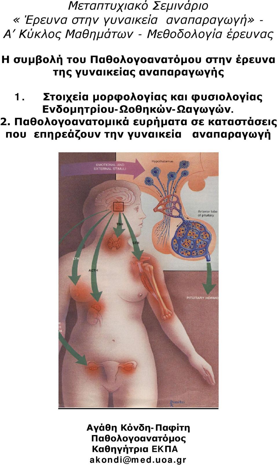 Στοιχεία μορφολογίας και φυσιολογίας Ενδομητρίου-Ωοθηκών-Ωαγωγών. 2.