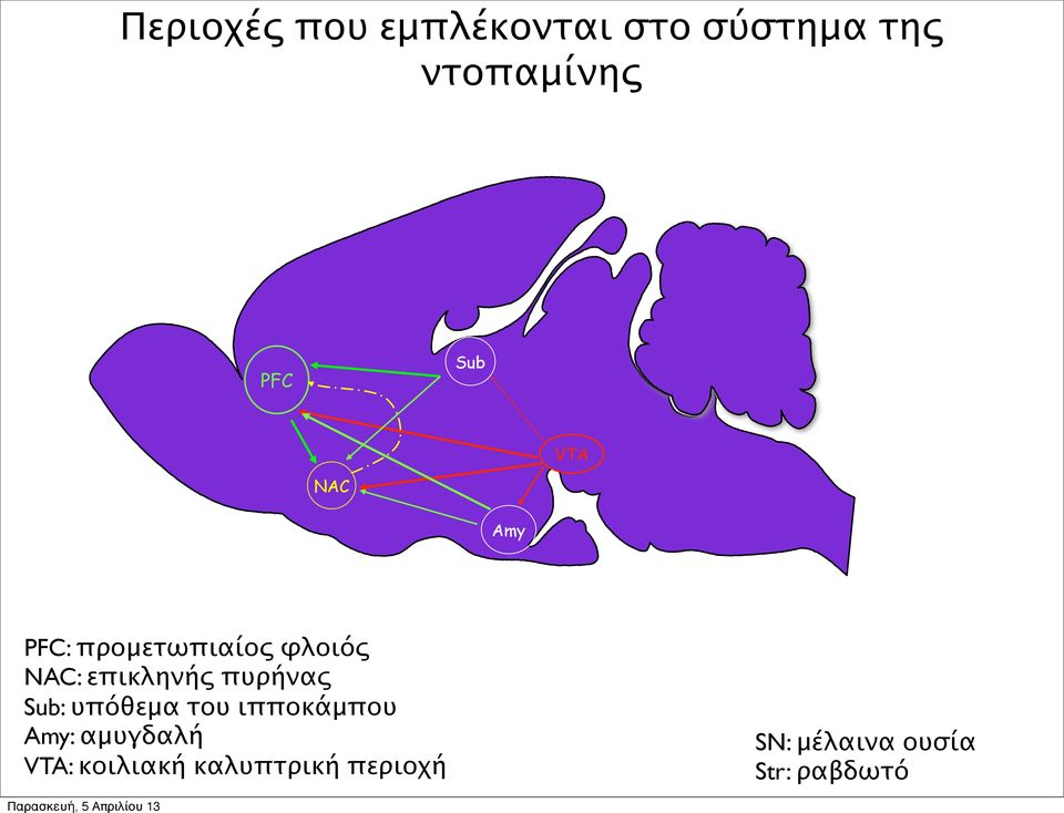 πυρήνας Sub: υπόθεμα του ιπποκάμπου Amy: αμυγδαλή VTA: