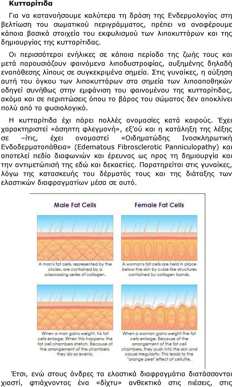 Στις γυναίκες, η αύξηση αυτή του όγκου των λιποκυττάρων στα σημεία των λιποαποθηκών οδηγεί συνήθως στην εμφάνιση του φαινομένου της κυτταρίτιδας, ακόμα και σε περιπτώσεις όπου το βάρος του σώματος