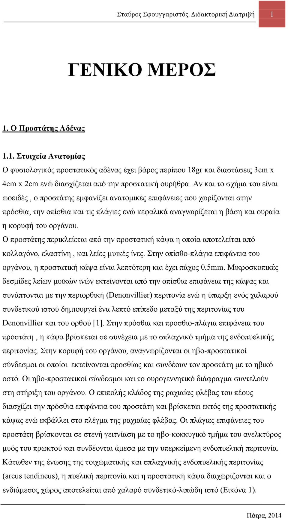 νξγάλνπ. Ο πξνζηάηεο πεξηθιείεηαη απφ ηελ πξνζηαηηθή θάςα ε νπνία απνηειείηαη απφ θνιιαγφλν, ειαζηίλε, θαη ιείεο κπηθέο ίλεο.