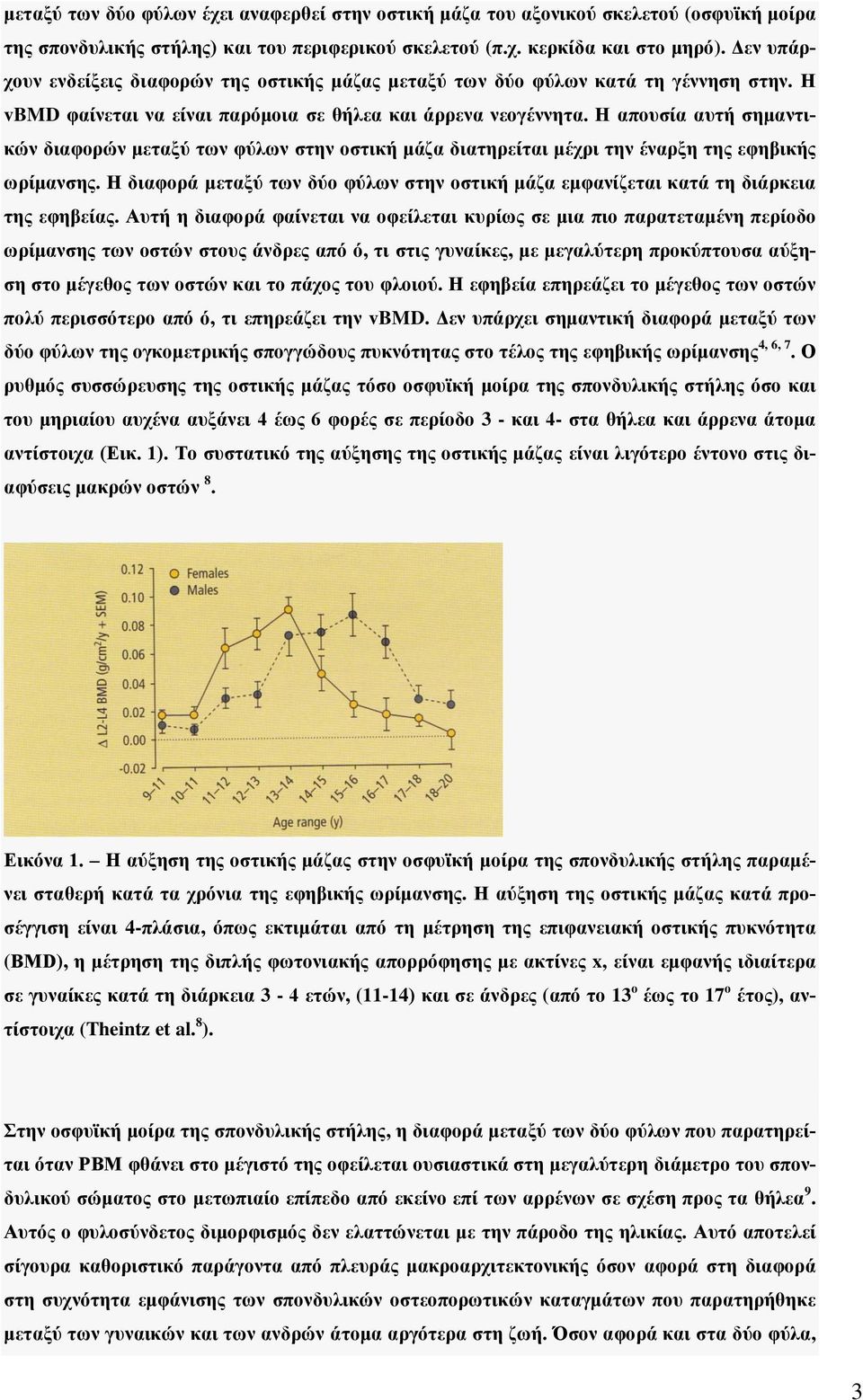 Η απουσία αυτή σημαντικών διαφορών μεταξύ των φύλων στην οστική μάζα διατηρείται μέχρι την έναρξη της εφηβικής ωρίμανσης.