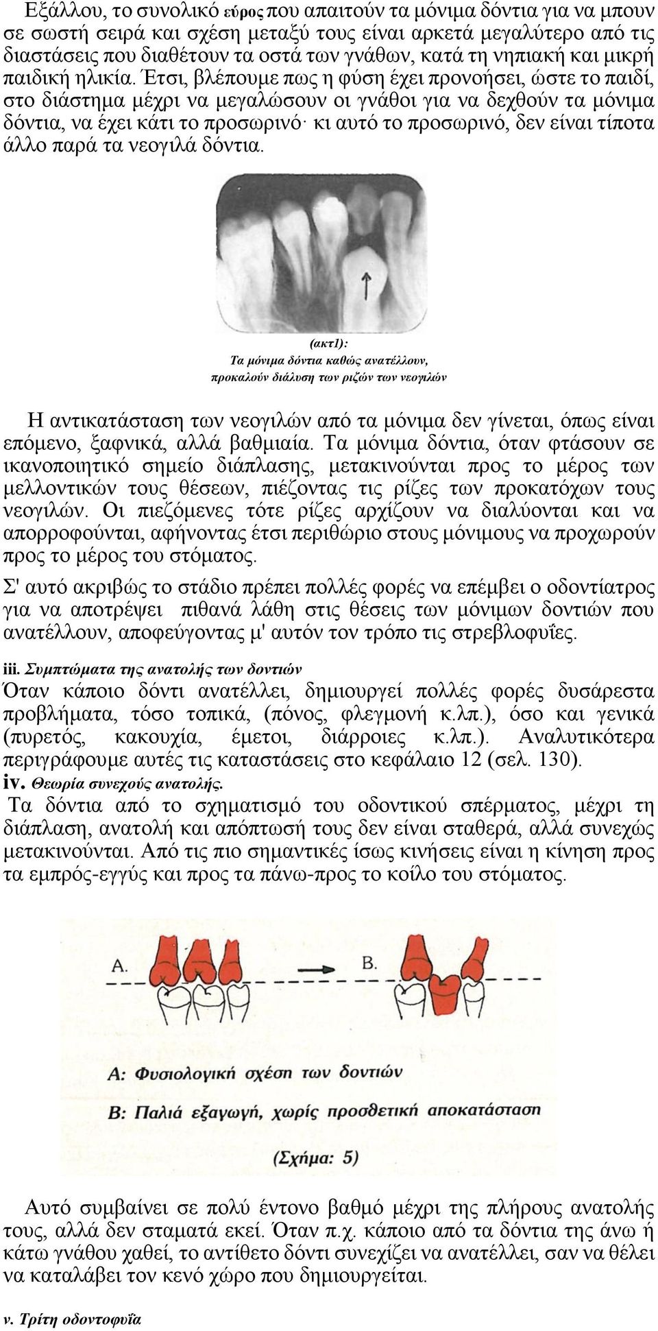 Έτσι, βλέπουμε πως η φύση έχει προνοήσει, ώστε το παιδί, στο διάστημα μέχρι να μεγαλώσουν οι γνάθοι για να δεχθούν τα μόνιμα δόντια, να έχει κάτι το προσωρινό κι αυτό το προσωρινό, δεν είναι τίποτα