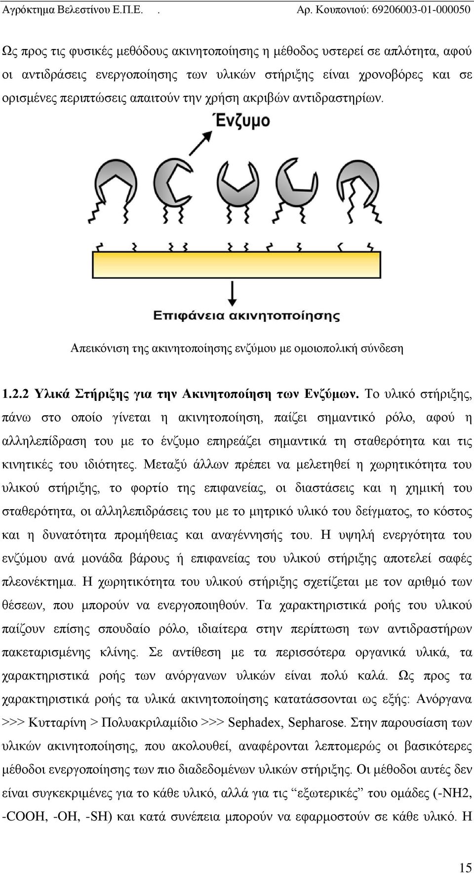 Το υλικό στήριξης, πάνω στο οποίο γίνεται η ακινητοποίηση, παίζει σημαντικό ρόλο, αφού η αλληλεπίδραση του με το ένζυμο επηρεάζει σημαντικά τη σταθερότητα και τις κινητικές του ιδιότητες.