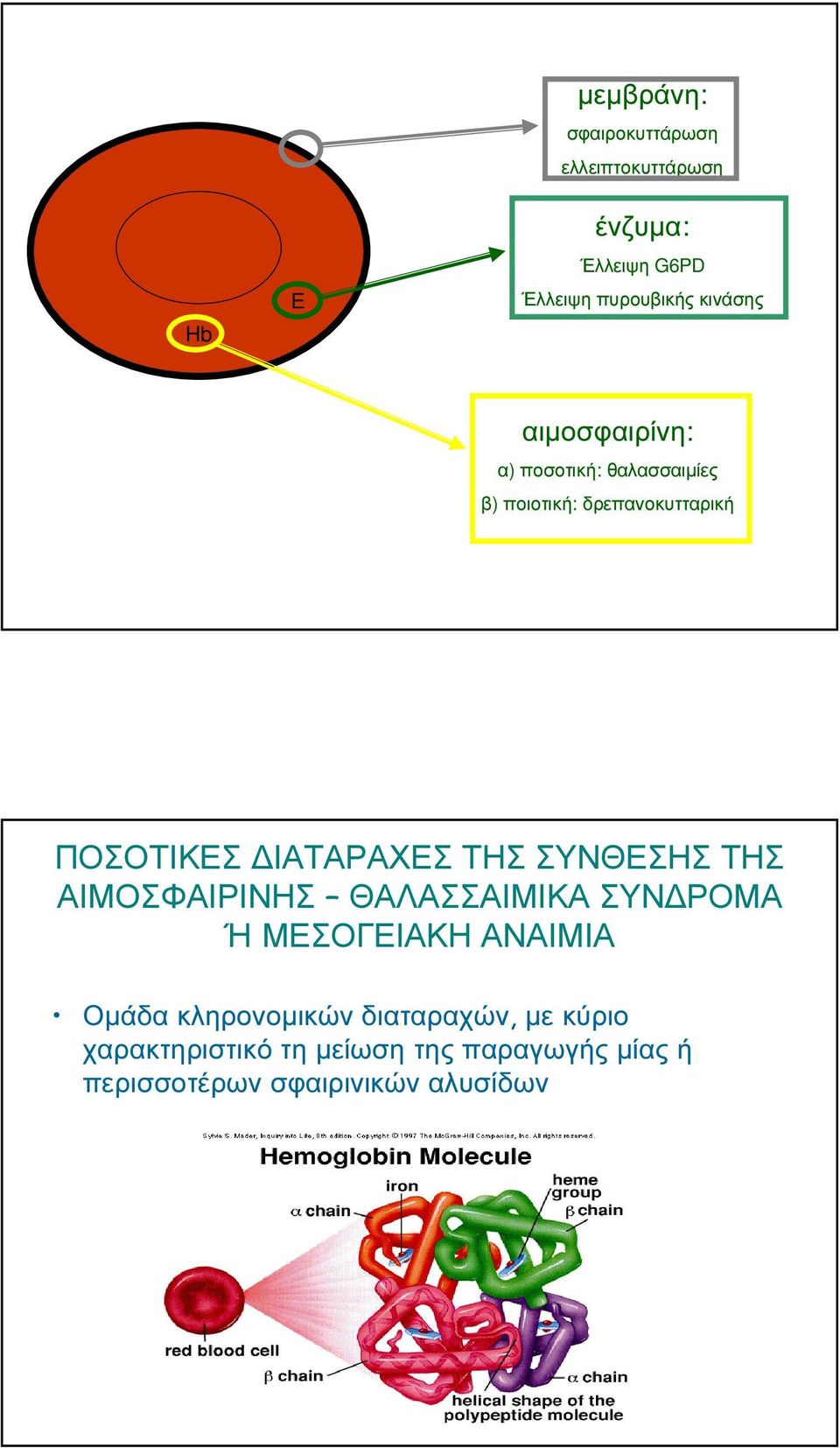 ΙΑΤΑΡΑΧΕΣ ΤΗΣ ΣΥΝΘΕΣΗΣ ΤΗΣ ΑΙΜΟΣΦΑΙΡΙΝΗΣ ΘΑΛΑΣΣΑΙΜΙΚΑ ΣΥΝ ΡΟΜΑ Ή ΜΕΣΟΓΕΙΑΚΗ ΑΝΑΙΜΙΑ Οµάδα