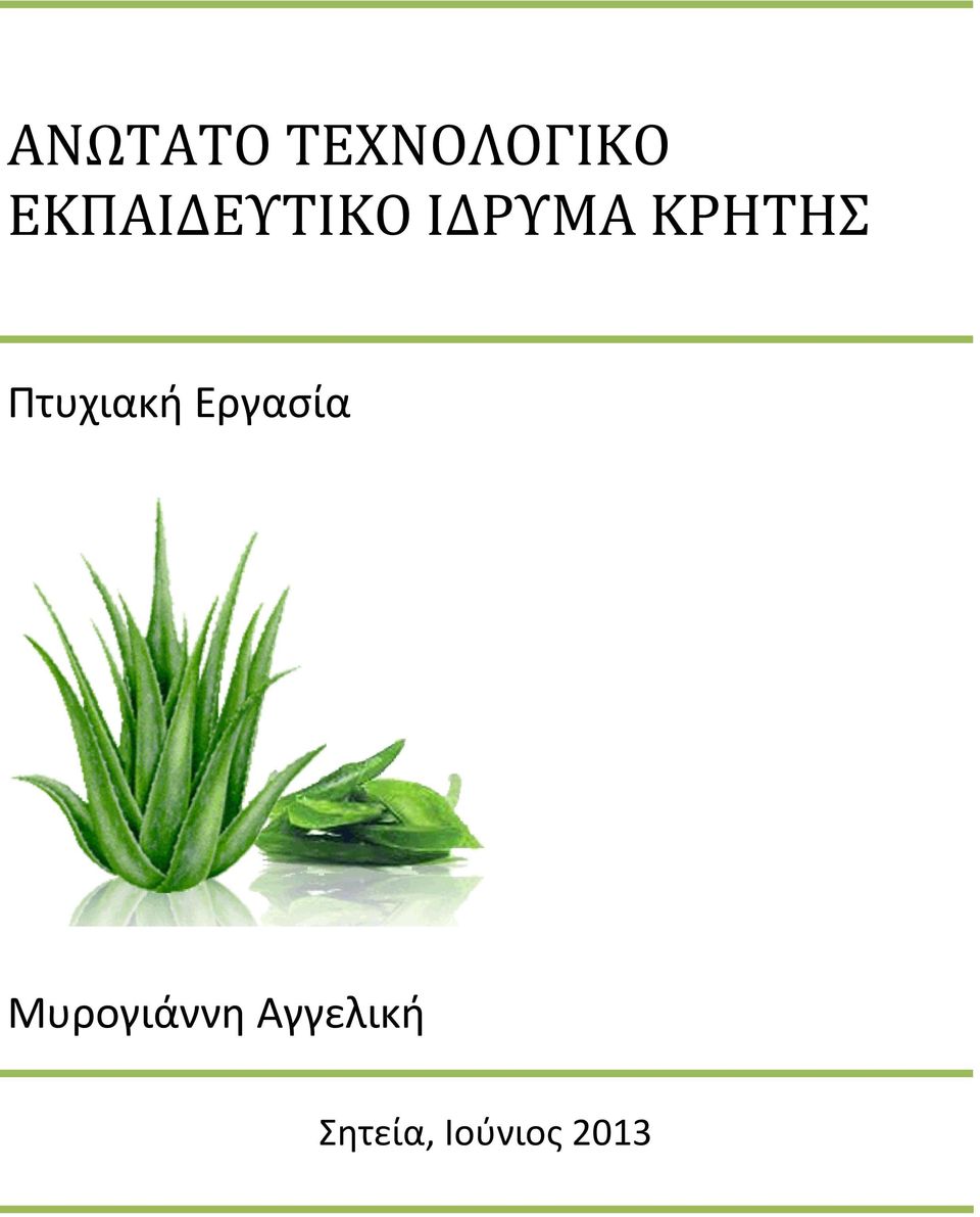 ΚΡΗΤΗΣ Πτυχιακή Εργασία