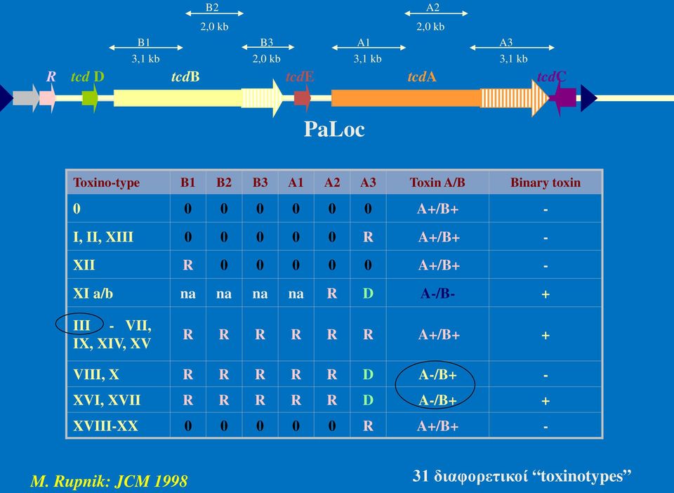 A+/B+ - XI a/b na na na na R D A-/B- + III - VII, IX, XIV, XV R R R R R R A+/B+ + VIII, X R R R R R D A-/B+