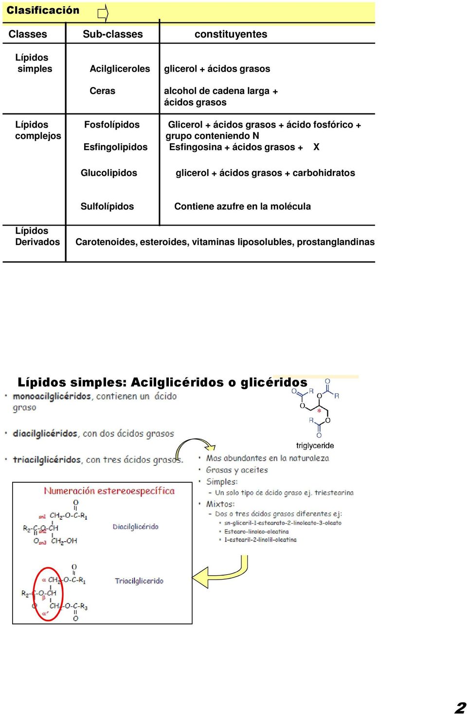 Esfingolipidos Esfingosina + ácidos grasos + X Glucolipidos glicerol + ácidos grasos + carbohidratos Sulfolípidos Contiene azufre
