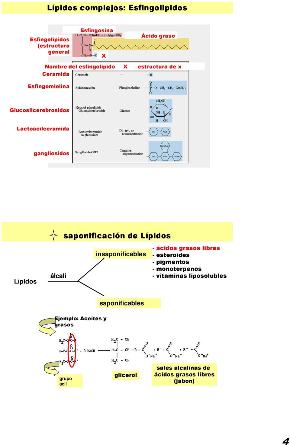 saponificación de Lípidos Lípidos álcali insaponificables - ácidos grasos libres - esteroides - pigmentos -