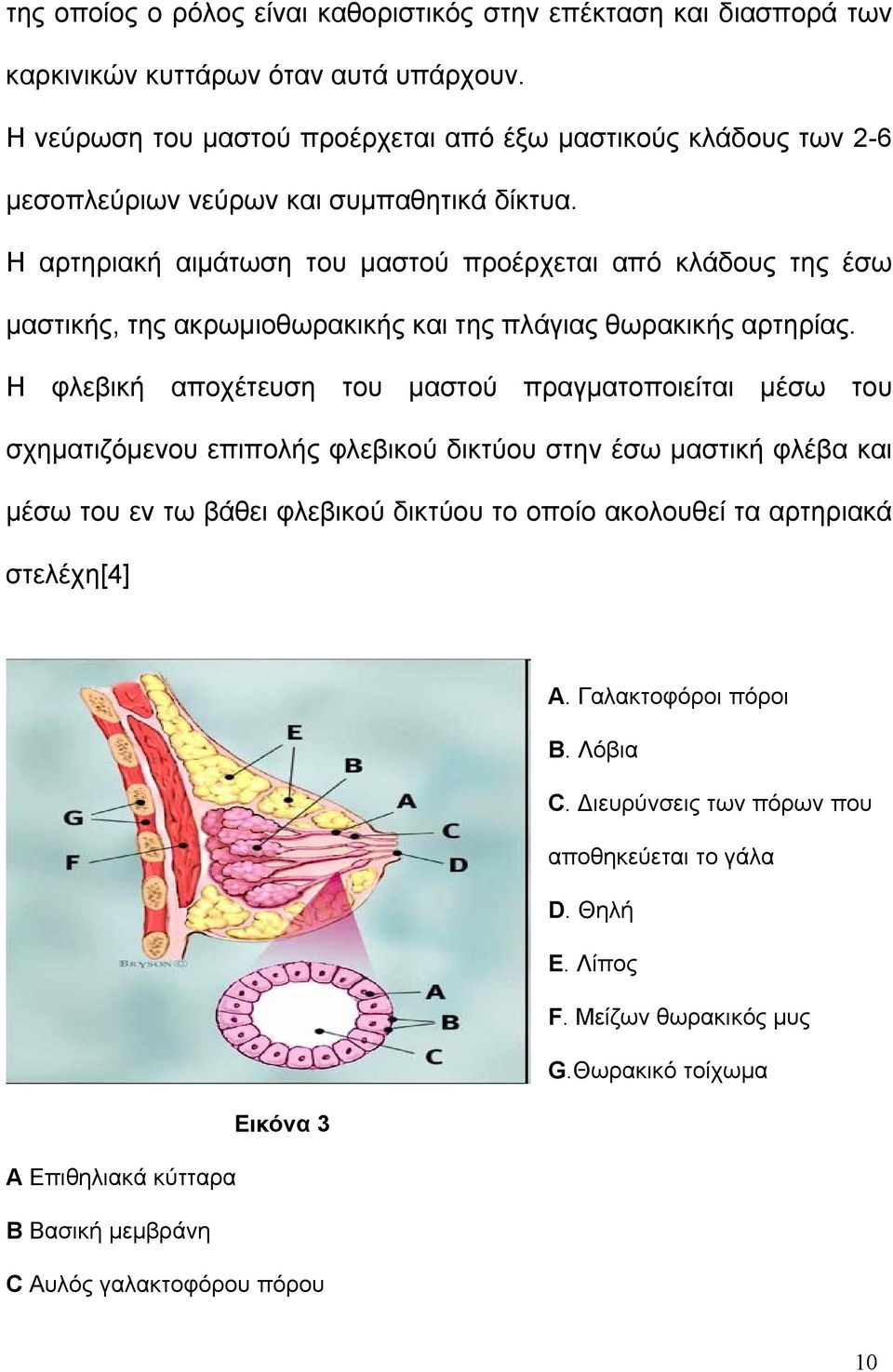 Η αρτηριακή αιμάτωση του μαστού προέρχεται από κλάδους της έσω μαστικής, της ακρωμιοθωρακικής και της πλάγιας θωρακικής αρτηρίας.