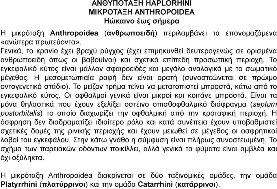 Το εγκεφαλικό κύτος είναι μάλλον σφαιροειδές και μεγάλο αναλογικά με το σωματικό μέγεθος. Η μεσομετωπιαία ραφή δεν είναι ορατή (συνοστεώνεται σε πρώιμο οντογενετικό στάδιο).