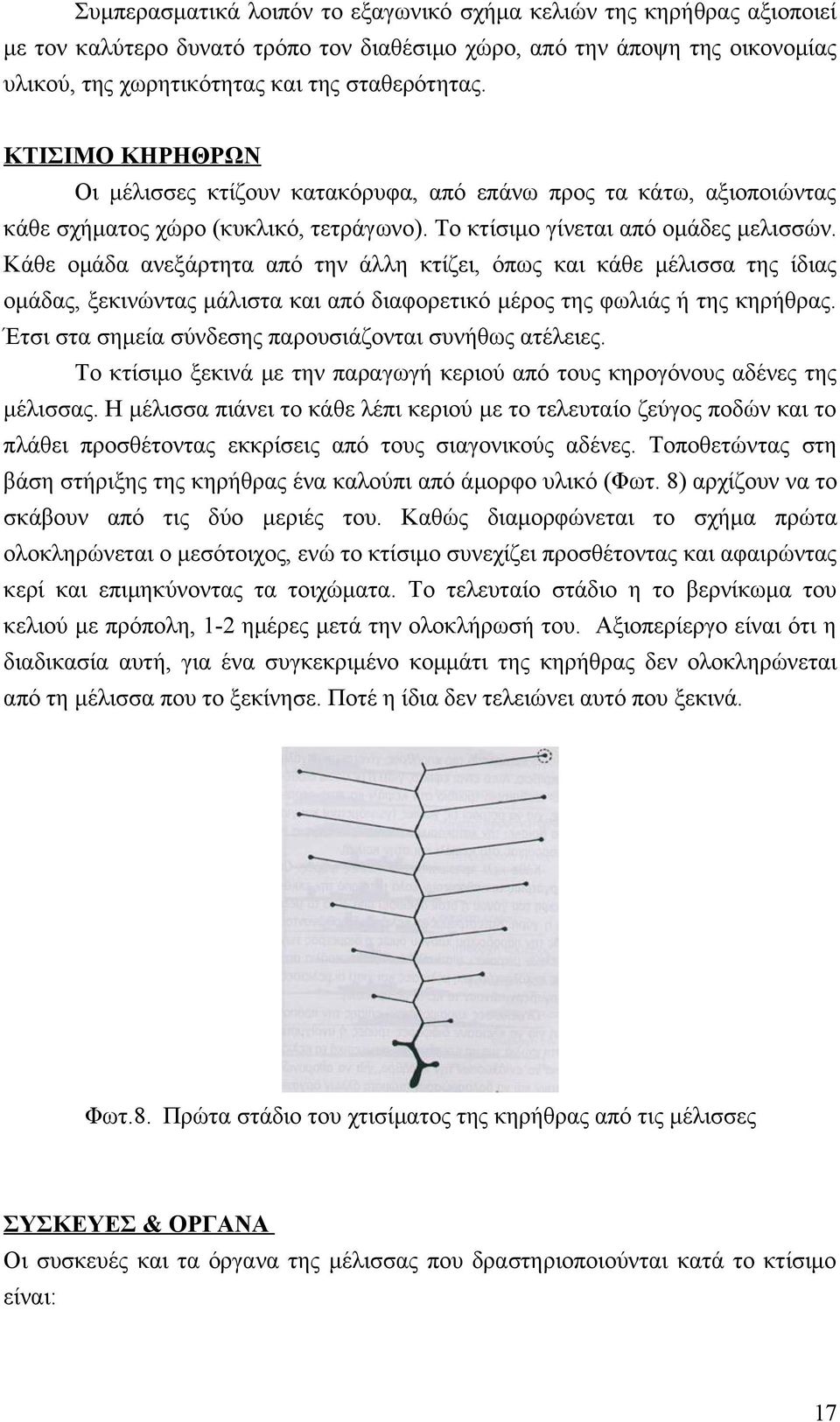 Κάθε ομάδα ανεξάρτητα από την άλλη κτίζει, όπως και κάθε μέλισσα της ίδιας ομάδας, ξεκινώντας μάλιστα και από διαφορετικό μέρος της φωλιάς ή της κηρήθρας.