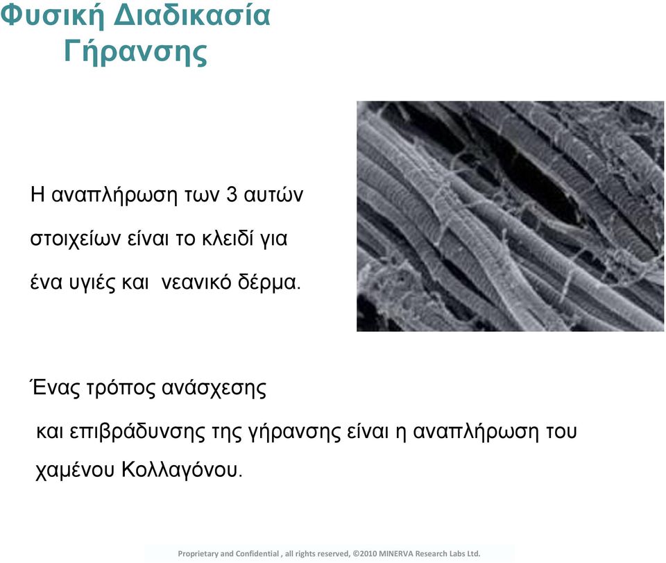 Ένας τρόπος ανάσχεσης και επιβράδυνσης της γήρανσης είναι η αναπλήρωση