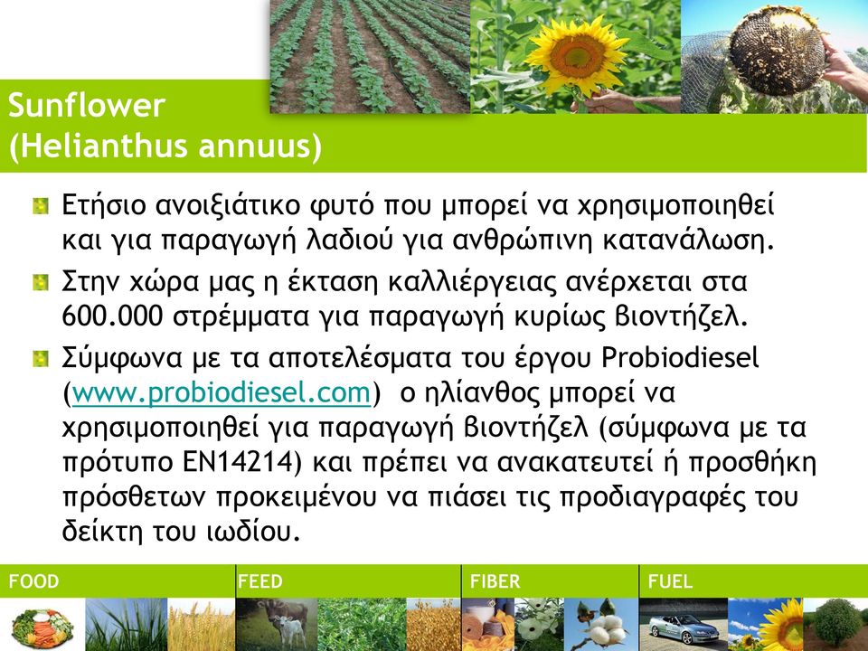 Σύμφωνα με τα αποτελέσματα του έργου Probiodiesel (www.probiodiesel.