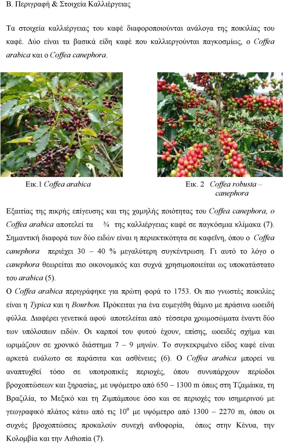 2 Coffea robusta canephora Εξαιτίας της πικρής επίγευσης και της χαµηλής ποιότητας του Coffea canephora, ο Coffea arabica αποτελεί τα ¾ της καλλιέργειας καφέ σε παγκόσµια κλίµακα (7).