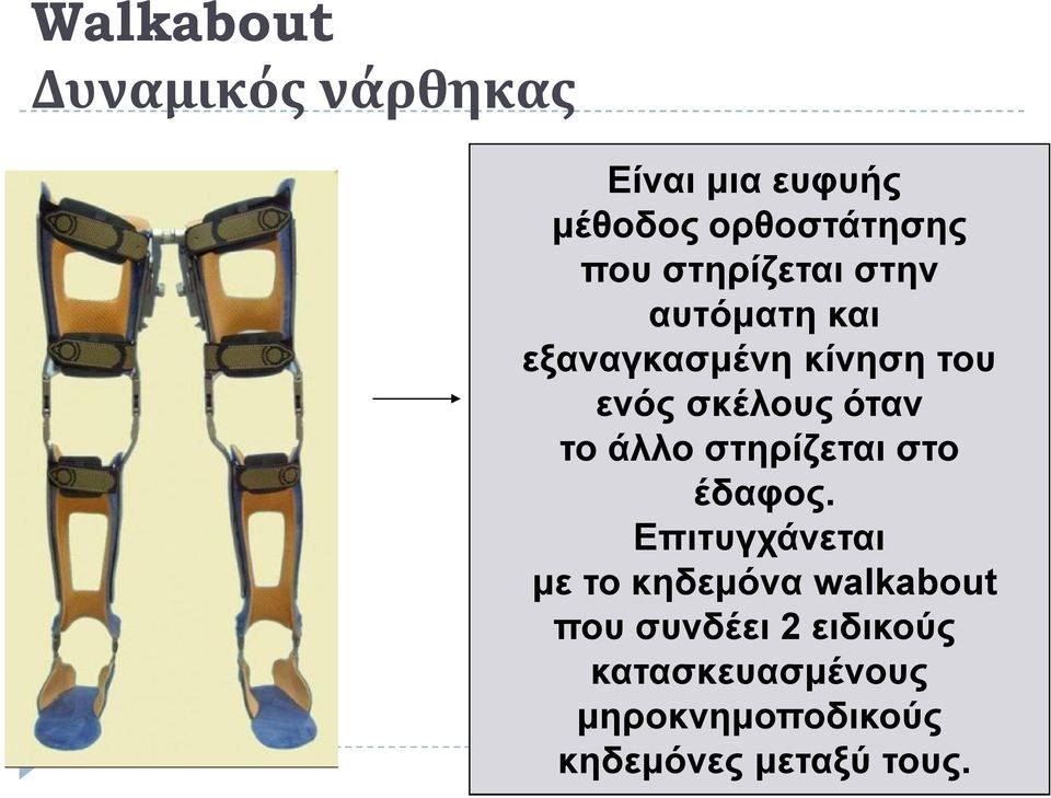 το άλλο στηρίζεται στο έδαφος.