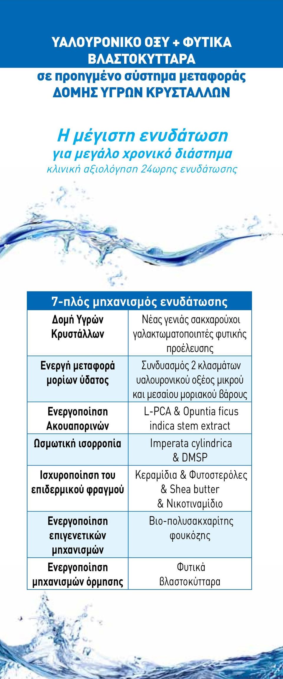 επιγενετικών μηχανισμών Ενεργοποίηση μηχανισμών όρμησης Νέας γενιάς σακχαρούχοι γαλακτωματοποιητές φυτικής προέλευσης Συνδυασμός 2 κλασμάτων υαλουρονικού οξέος μικρού και μεσαίου