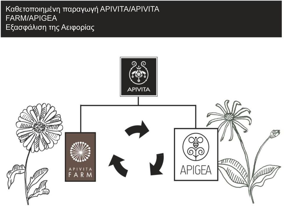 APIVITA/APIVITA