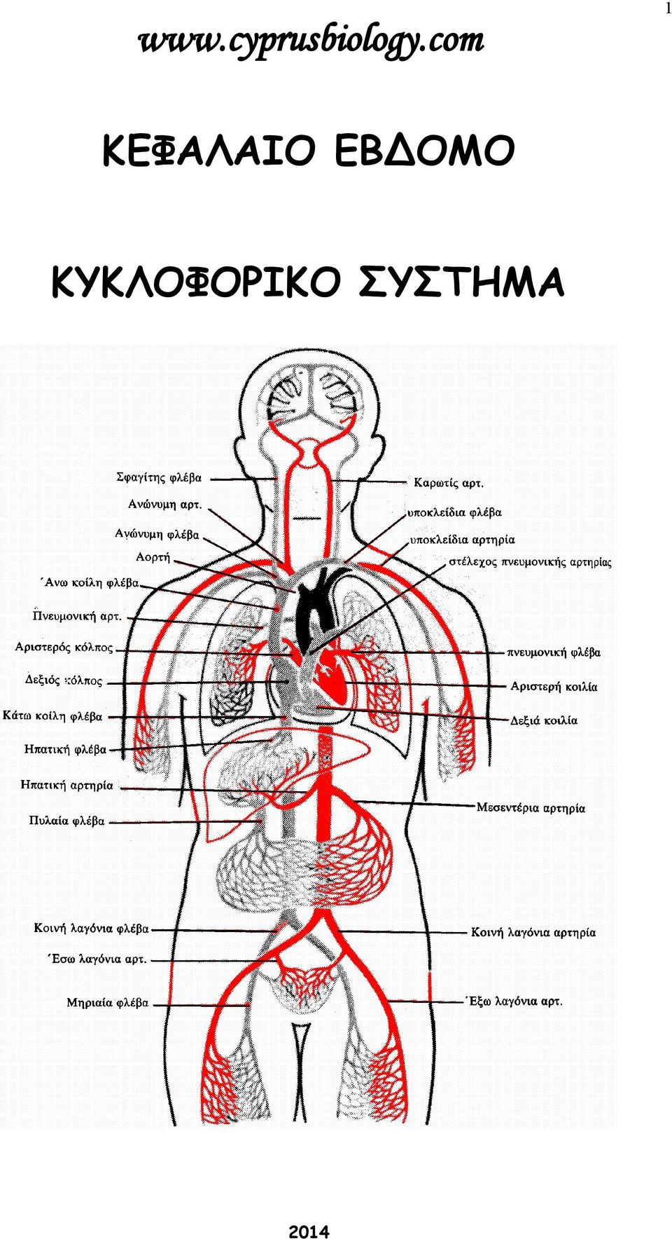 com ΚΕΦΑΛΑΙΟ