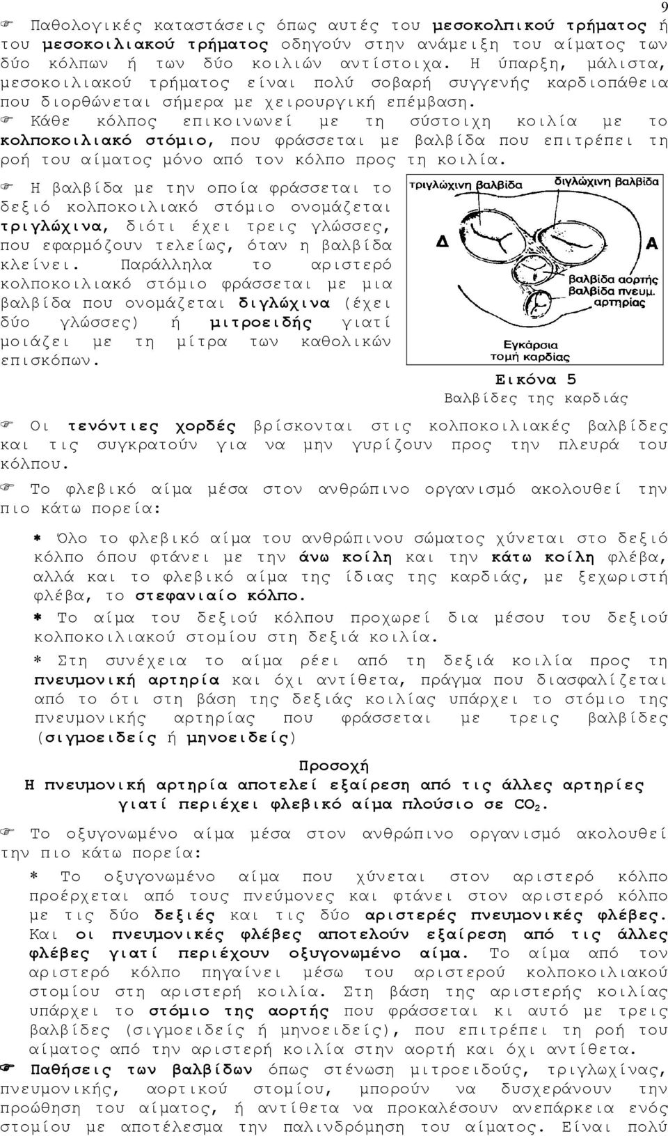 Κάθε κόλπος επικοινωνεί με τη σύστοιχη κοιλία με το κολποκοιλιακό στόμιο, που φράσσεται με βαλβίδα που επιτρέπει τη ροή του αίματος μόνο από τον κόλπο προς τη κοιλία.