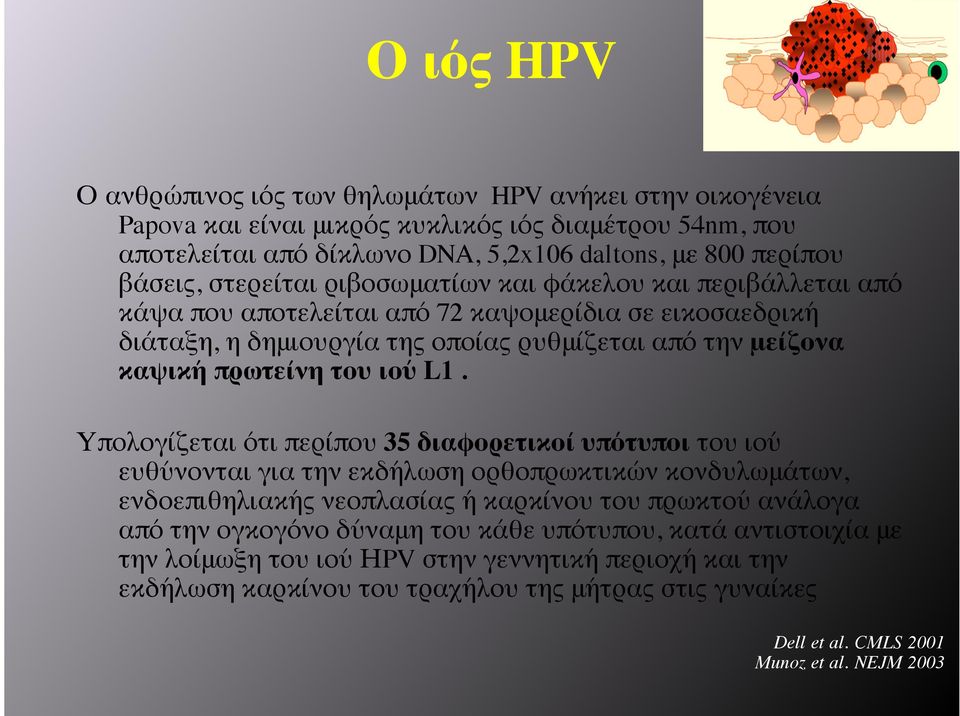 L1. Υπολογίζεται ότι περίπου 35 διαφορετικοί υπότυποι του ιού ευθύνονται για την εκδήλωση ορθοπρωκτικών κονδυλωμάτων, ενδοεπιθηλιακής νεοπλασίας ή καρκίνου του πρωκτού ανάλογα από την ογκογόνο