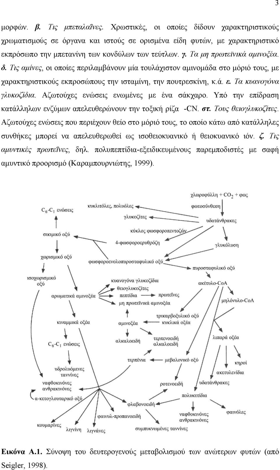 Αζωτούχες ενώσεις ενωµένες µε ένα σάκχαρο. Υπό την επίδραση κατάλληλων ενζύµων απελευθερώνουν την τοξική ρίζα -CN. στ. Τους θειογλυκοζίτες.