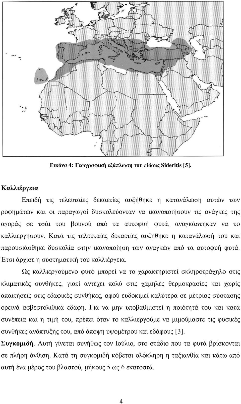 αναγκάστηκαν να το καλλιεργήσουν. Κατά τις τελευταίες δεκαετίες αυξήθηκε η κατανάλωσή του και παρουσιάσθηκε δυσκολία στην ικανοποίηση των αναγκών από τα αυτοφυή φυτά.