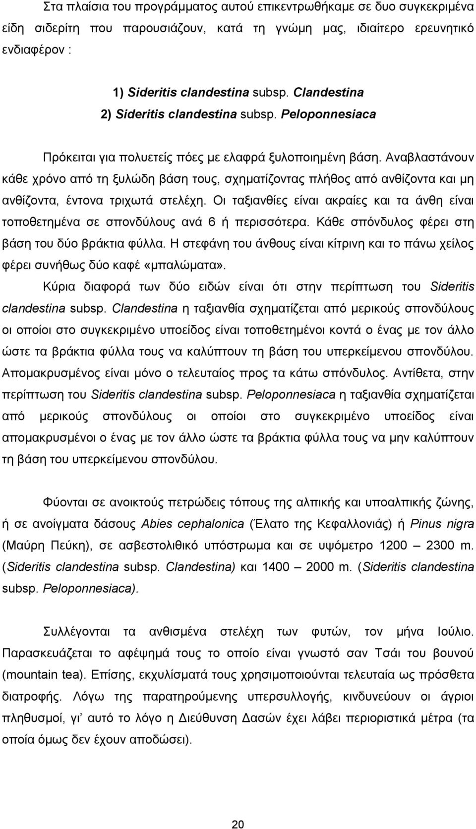 Αναβλαστάνουν κάθε χρόνο από τη ξυλώδη βάση τους, σχηματίζοντας πλήθος από ανθίζοντα και μη ανθίζοντα, έντονα τριχωτά στελέχη.