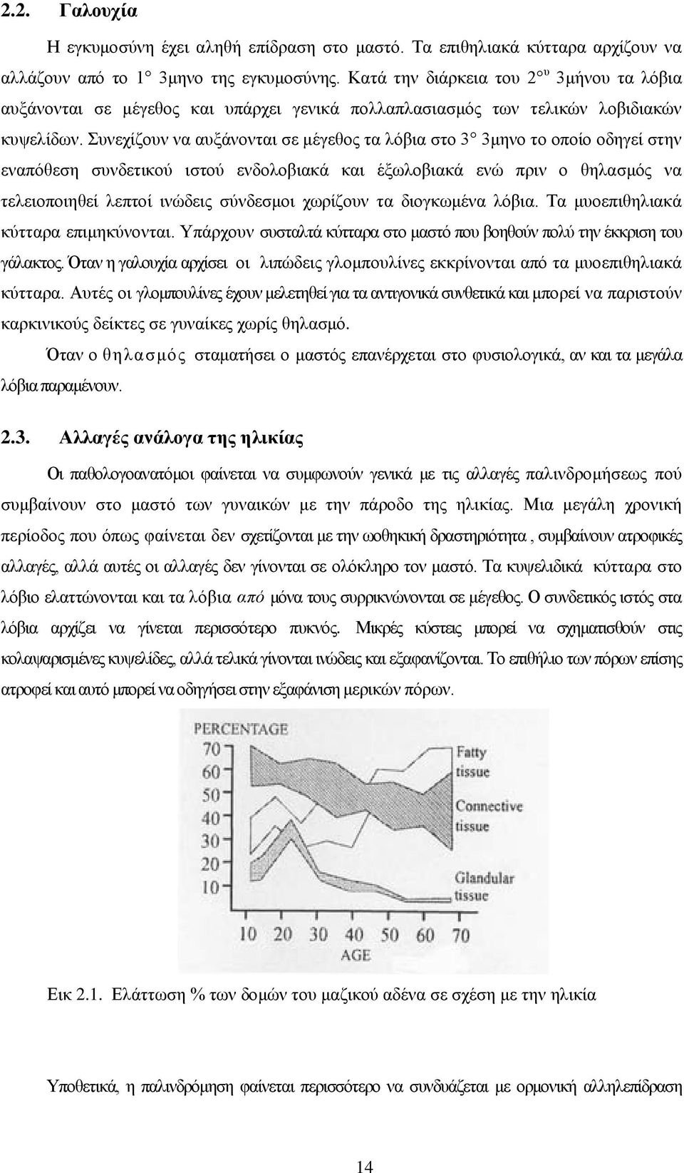 Συνεχίζουν να αυξάνονται σε μέγεθος τα λόβια στο 3 3μηνο το οποίο οδηγεί στην εναπόθεση συνδετικού ιστού ενδολοβιακά και έξωλοβιακά ενώ πριν ο θηλασμός να τελειοποιηθεί λεπτοί ινώδεις σύνδεσμοι