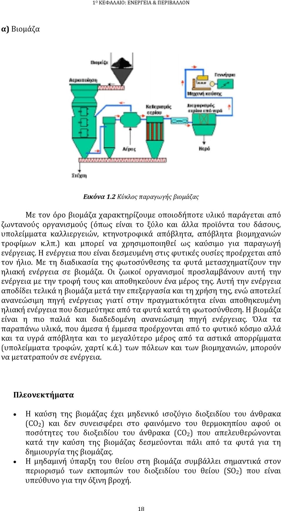 κτηνοτροφικά απόβλητα, απόβλητα βιομηχανιών τροφίμων κ.λπ.) και μπορεί να χρησιμοποιηθεί ως καύσιμο για παραγωγή ενέργειας. Η ενέργεια που είναι δεσμευμένη στις φυτικές ουσίες προέρχεται από τον ήλιο.