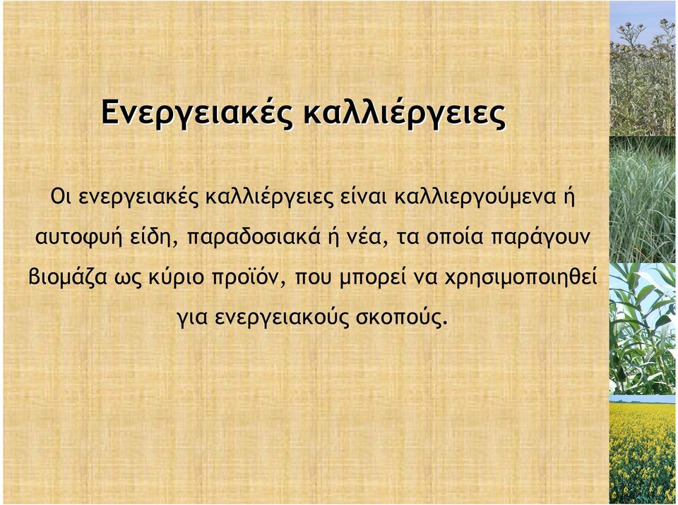 παραδοσιακά ή νέα, τα οποία παράγουν βιοµάζα ως