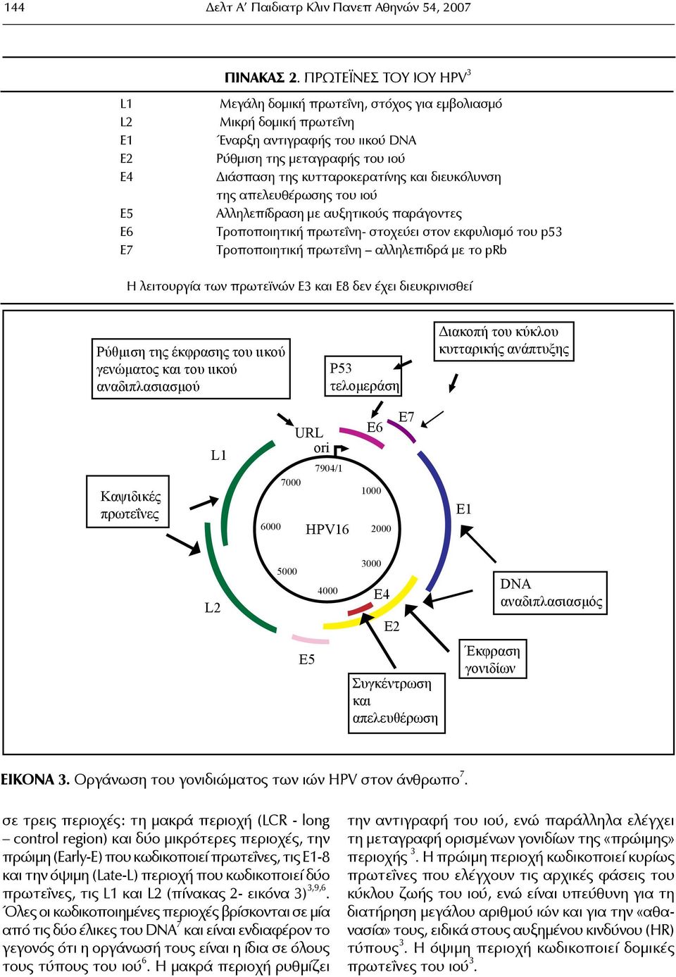 διευκόλυνση της απελευθέρωσης του ιού Αλληλεπίδραση με αυξητικούς παράγοντες Τροποποιητική πρωτεΐνη- στοχεύει στον εκφυλισμό του p53 Τροποποιητική πρωτεΐνη αλληλεπιδρά με το prb Η λειτουργία των