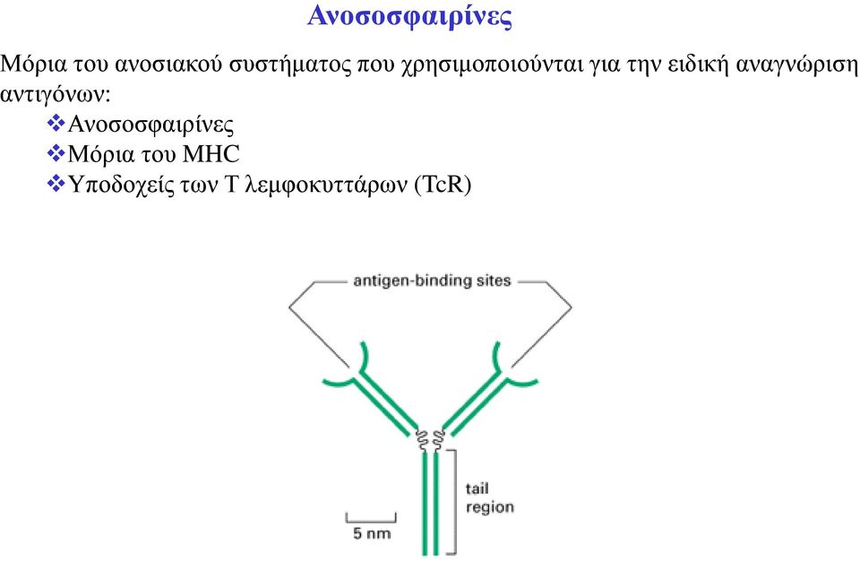 ειδική αναγνώριση αντιγόνων: