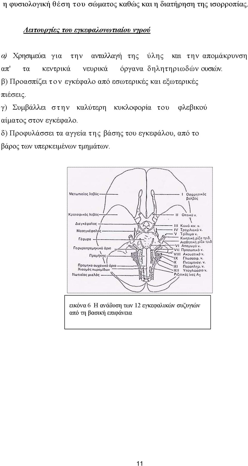 δηλητηριωδών ουσιών. β) Προασπίζει τον εγκέφαλο από εσωτερικές και εξωτερικές πιέσεις.
