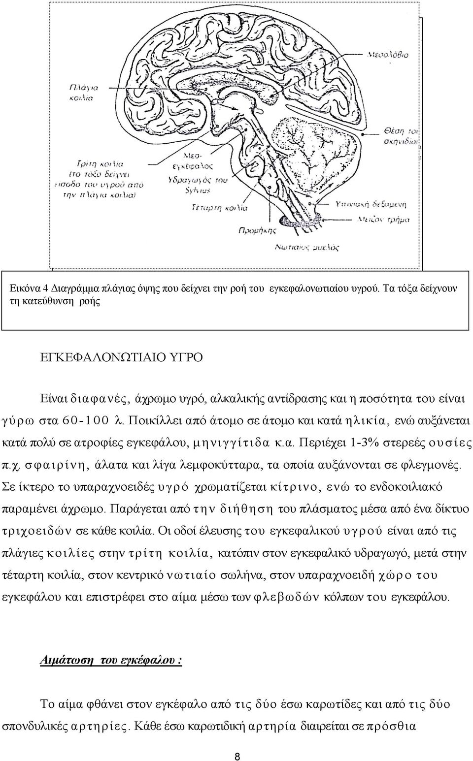 Ποικίλλει από άτομο σε άτομο και κατά ηλικία, ενώ αυξάνεται κατά πολύ σε ατροφίες εγκεφάλου, μηνιγγίτιδα κ.α. Περιέχει 1-3% στερεές ουσίες π.χ. σφαιρίνη, άλατα και λίγα λεμφοκύτταρα, τα οποία αυξάνονται σε φλεγμονές.