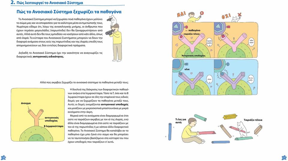 Αλλά αυτό δεν θα τους εμποδίσει να νοσήσουν από κάτι άλλο, όπως από ιλαρά.