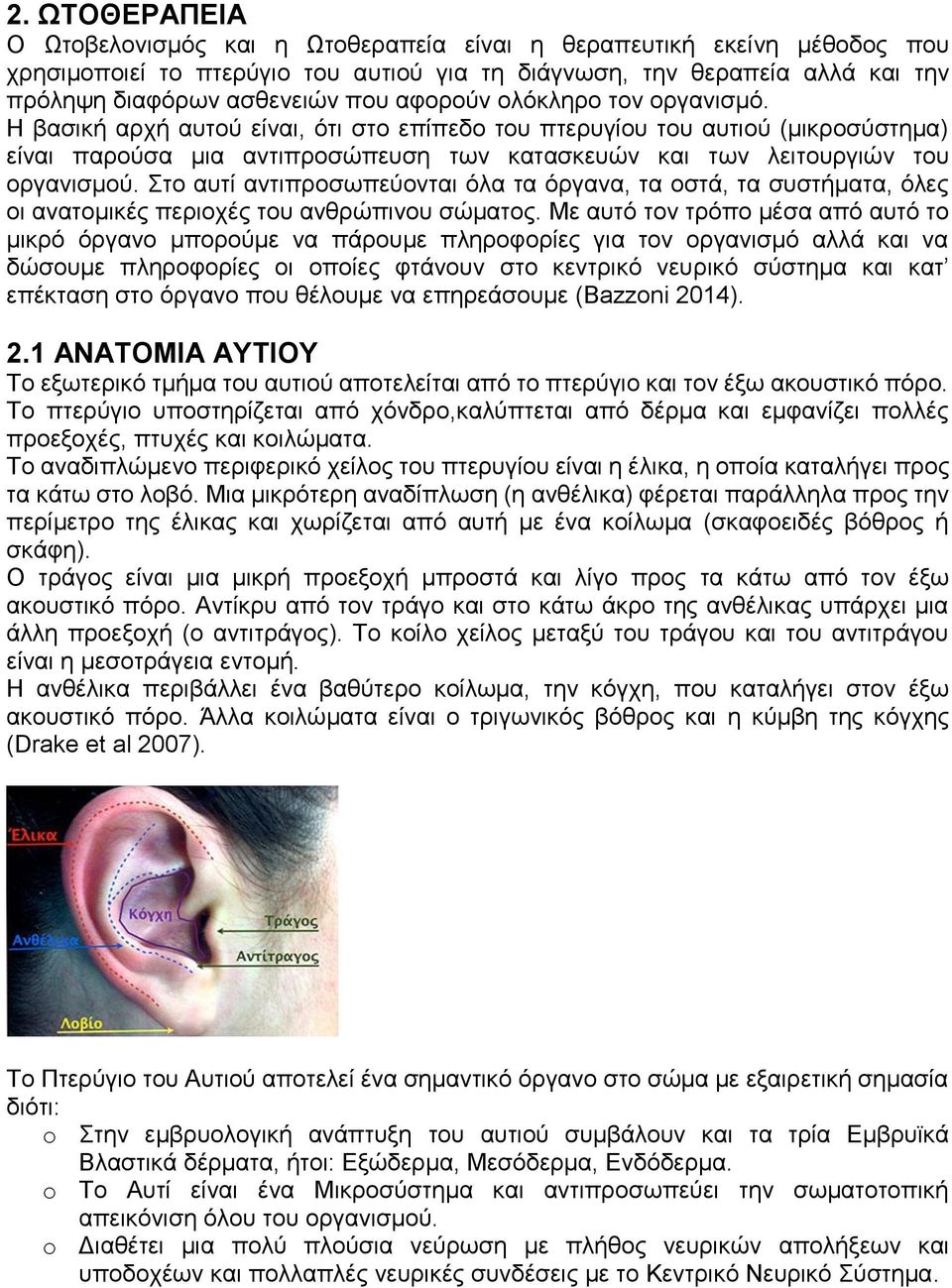 Στο αυτί αντιπροσωπεύονται όλα τα όργανα, τα οστά, τα συστήματα, όλες οι ανατομικές περιοχές του ανθρώπινου σώματος.