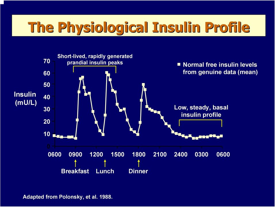 Insulin (mu/l) 50 40 30 20 10 Low, steady, basal insulin profile 0 0600 0900