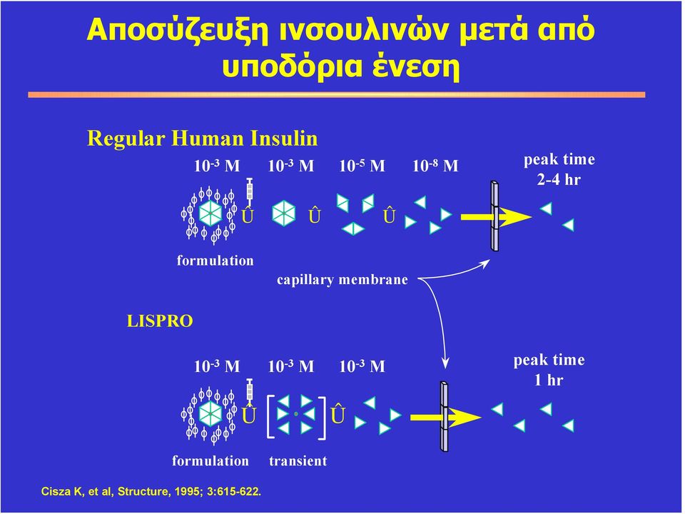 formulation capillary membrane LISPRO 10-3 M 10-3 M 10-3 M peak