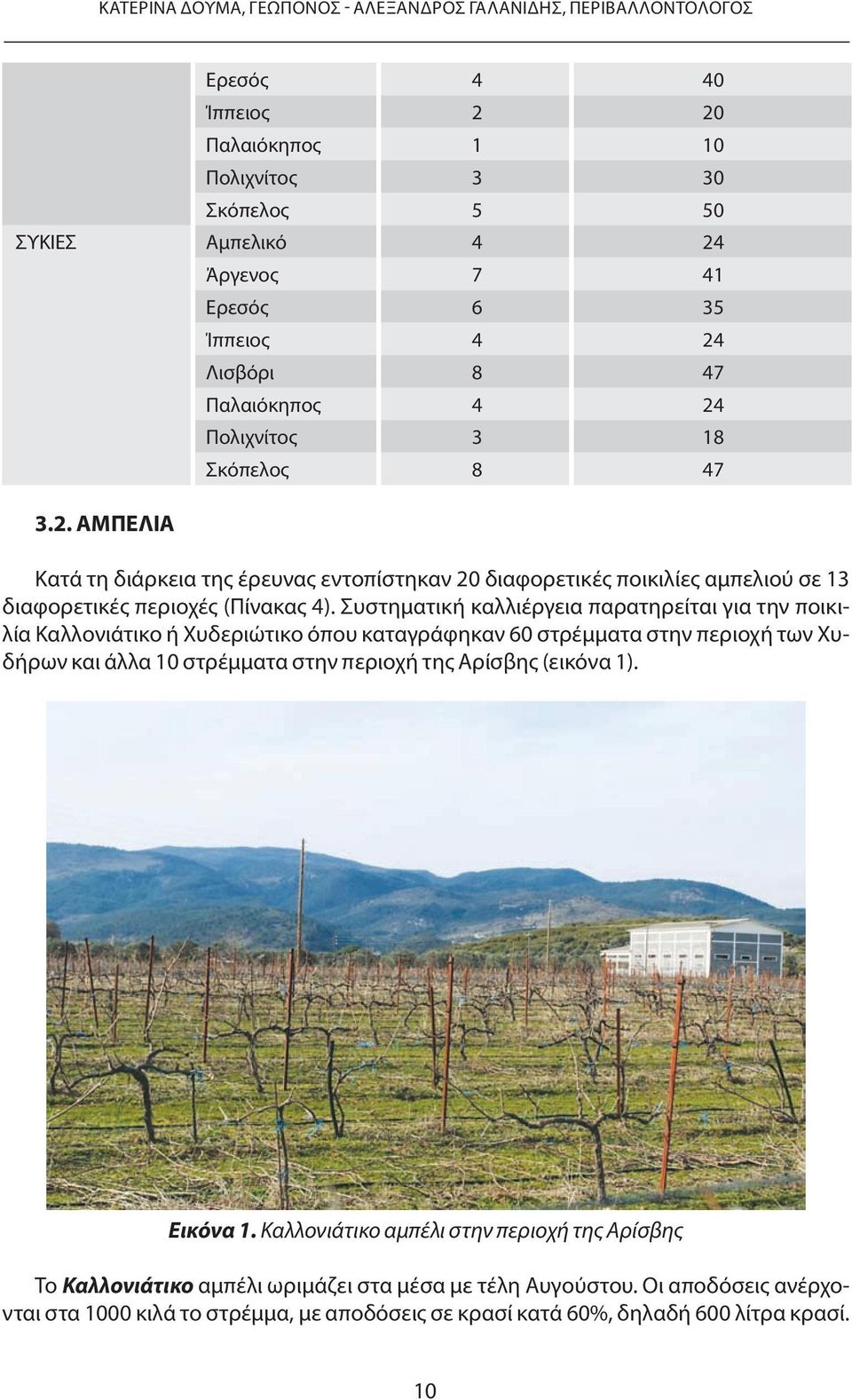 εντοπίστηκαν 20 διαφορετικές ποικιλίες αμπελιού σε 13 διαφορετικές περιοχές (Πίνακας 4).