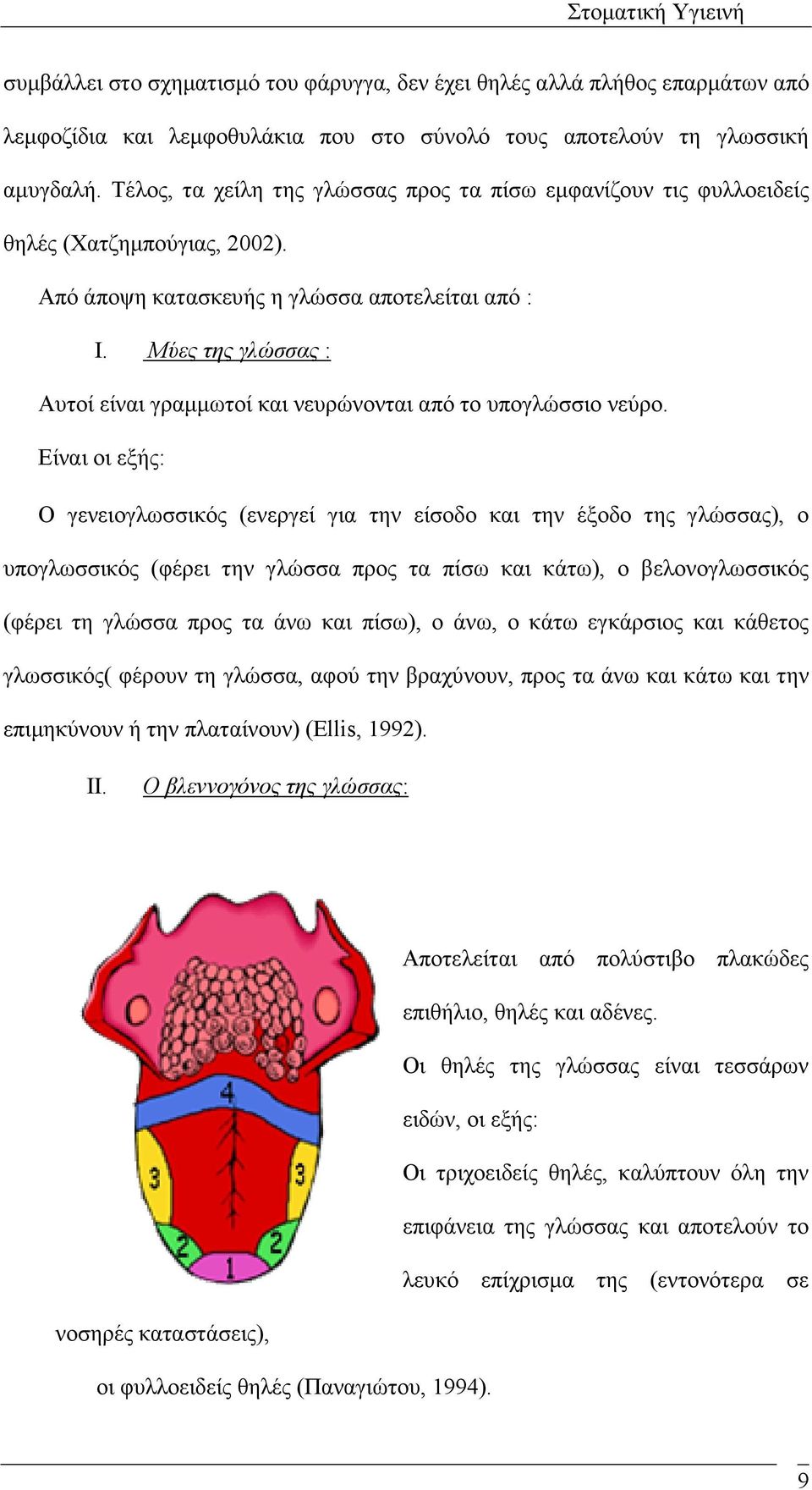 Μύες της γλώσσας : Αυτοί είναι γραµµωτοί και νευρώνονται από το υπογλώσσιο νεύρο.