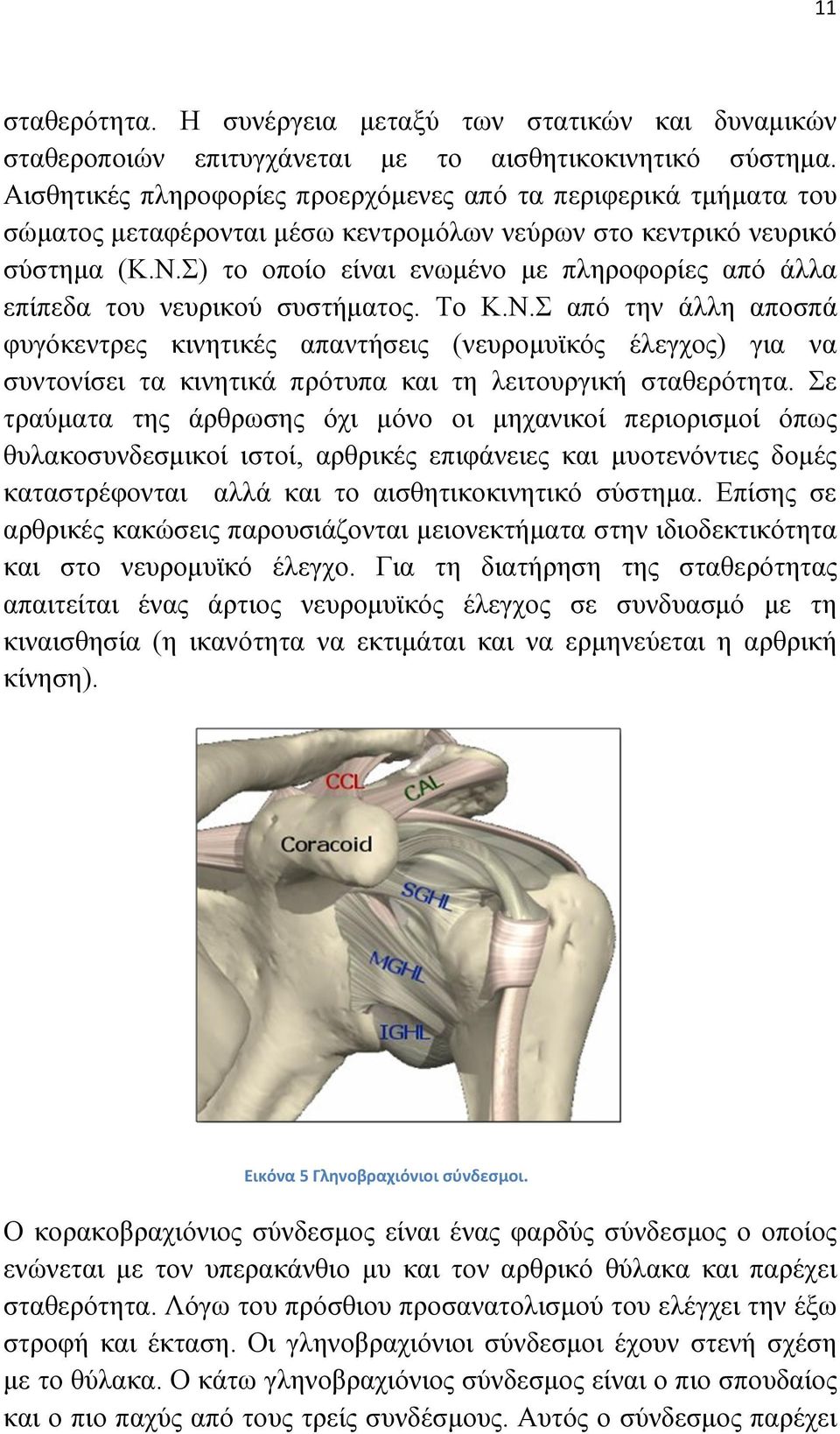 Σ) το οποίο είναι ενωµένο µε πληροφορίες από άλλα επίπεδα του νευρικού συστήµατος. Το Κ.Ν.