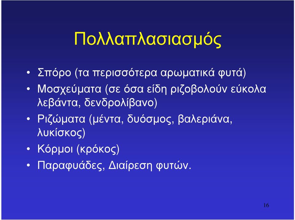 λεβάντα, δενδρολίβανο) Ριζώµατα (µέντα, δυόσµος,