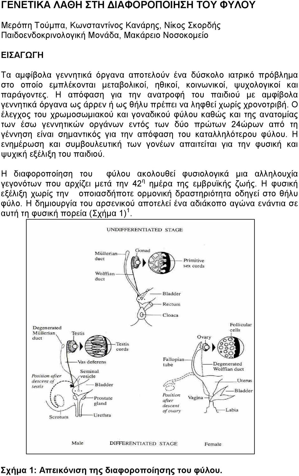 Η απόφαση για την ανατροφή του παιδιού µε αµφίβολα γεννητικά όργανα ως άρρεν ή ως θήλυ πρέπει να ληφθεί χωρίς χρονοτριβή.