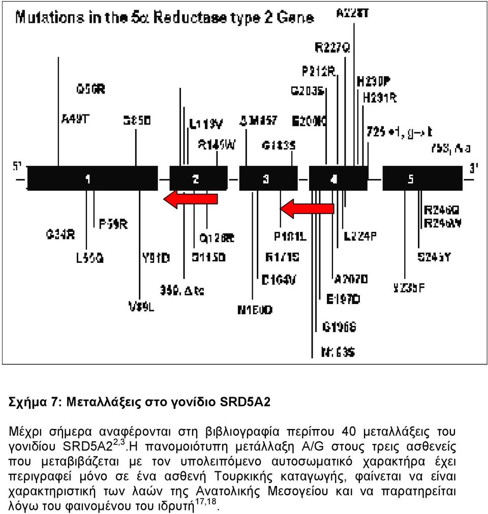 Η πανοµοιότυπη µετάλλαξη A/G στους τρεις ασθενείς που µεταβιβάζεται µε τον υπολειπόµενο αυτοσωµατικό