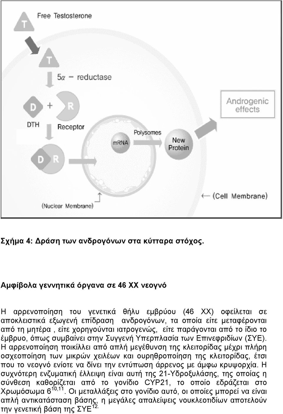 χορηγούνται ιατρογενώς, είτε παράγονται από το ίδιο το έµβρυο, όπως συµβαίνει στην Συγγενή Υπερπλασία των Επινεφριδίων (ΣΥΕ).