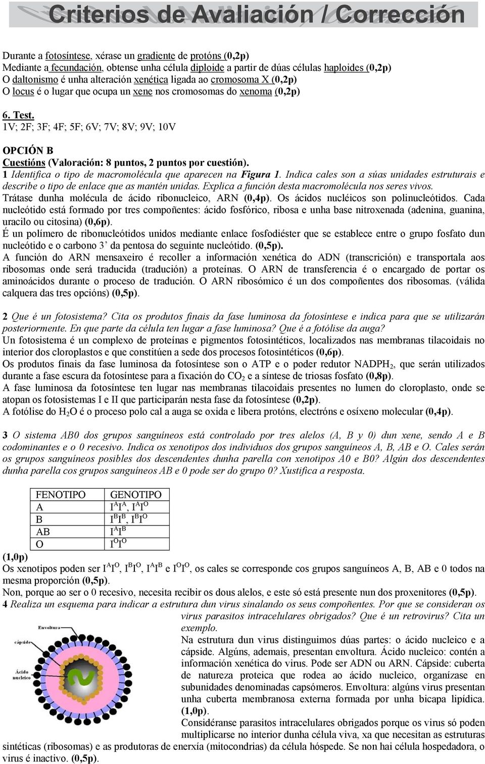 1V; 2F; 3F; 4F; 5F; 6V; 7V; 8V; 9V; 10V OPCIÓN B Cuestións (Valoración: 8 puntos, 2 puntos por cuestión). 1 Identifica o tipo de macromolécula que aparecen na Figura 1.