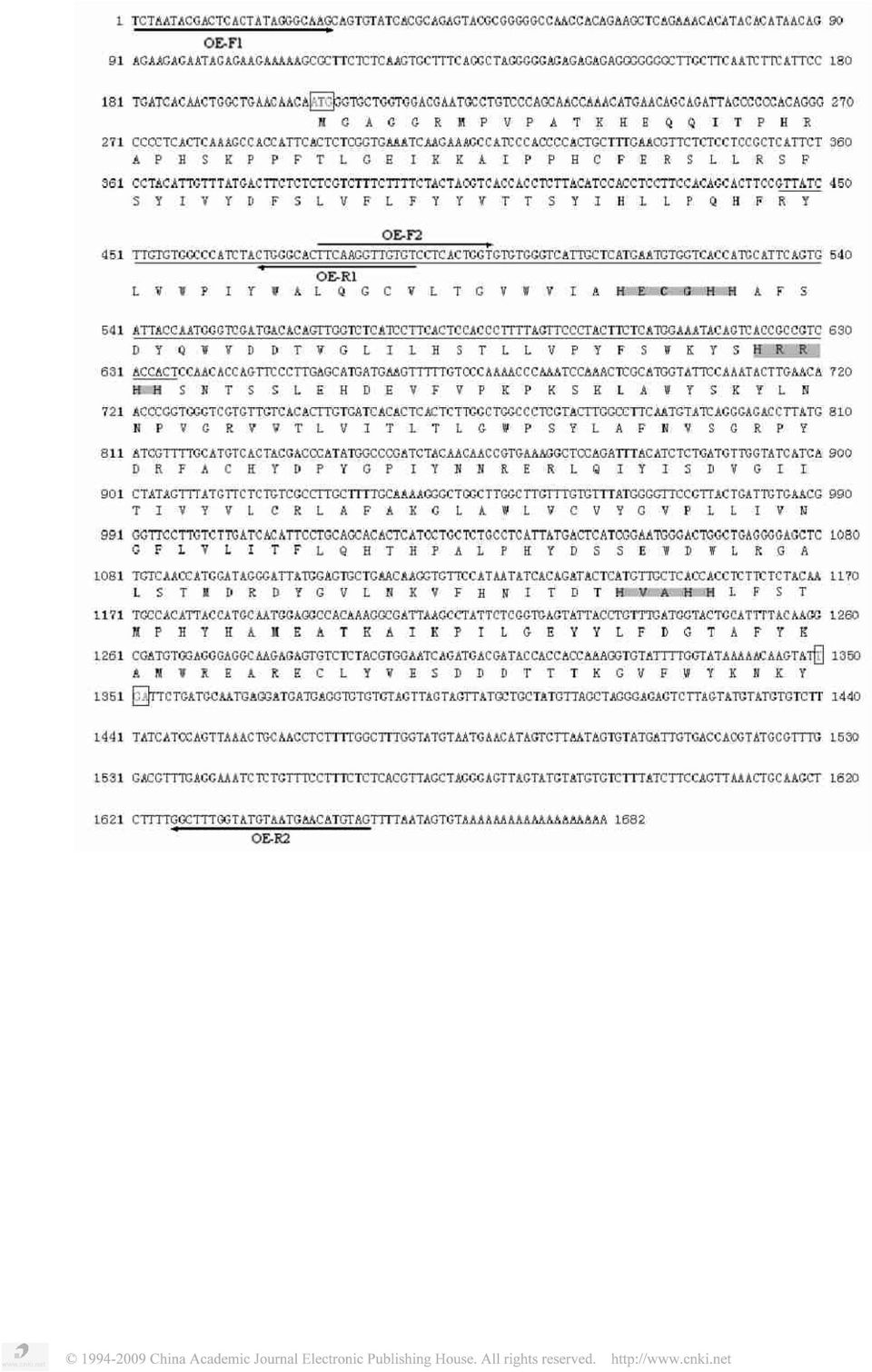 codon, TGA is stop codon,oe2f1, OE2R1, OE2F2 and OE2R2 are the primers for Overlap Extension PCR.