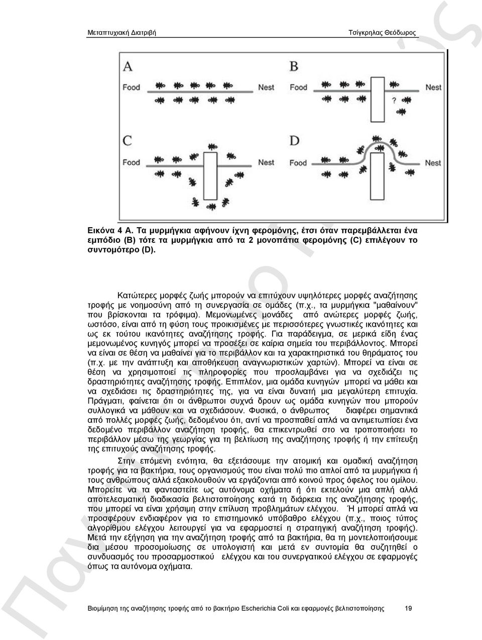 Μεμονωμένες μονάδες από ανώτερες μορφές ζωής, ωστόσο, είναι από τη φύση τους προικισμένες με περισσότερες γνωστικές ικανότητες και ως εκ τούτου ικανότητες αναζήτησης τροφής.