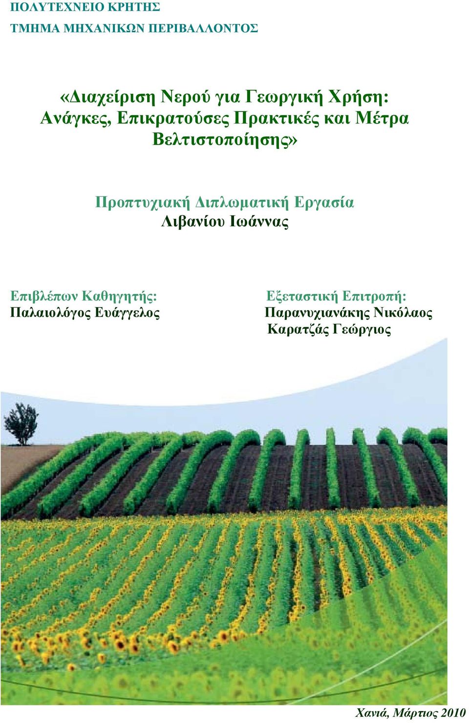 Διπλωματική Εργασία Λιβανίου Ιωάννας Επιβλέπων Καθηγητής: Παλαιολόγος Ευάγγελος