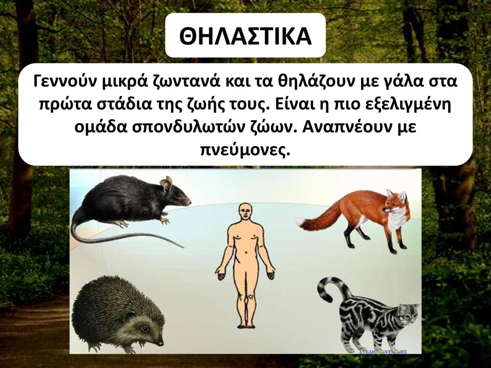 ζωής τους.